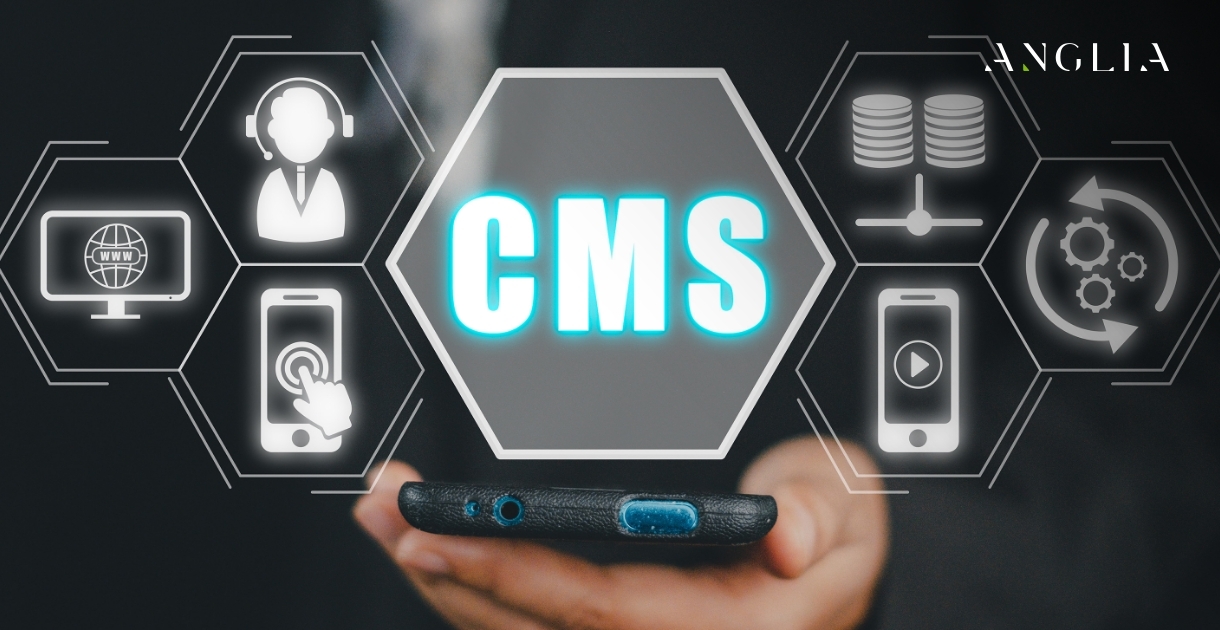 CMS Explained: What It Is and Why Your Website Needs One